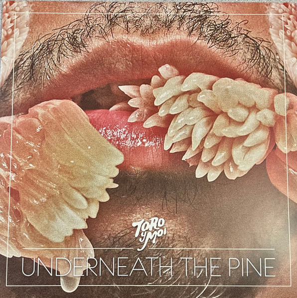 Toro Y Moi - Underneath The Pine LP, Album, Ltd, RE, RP, Cle